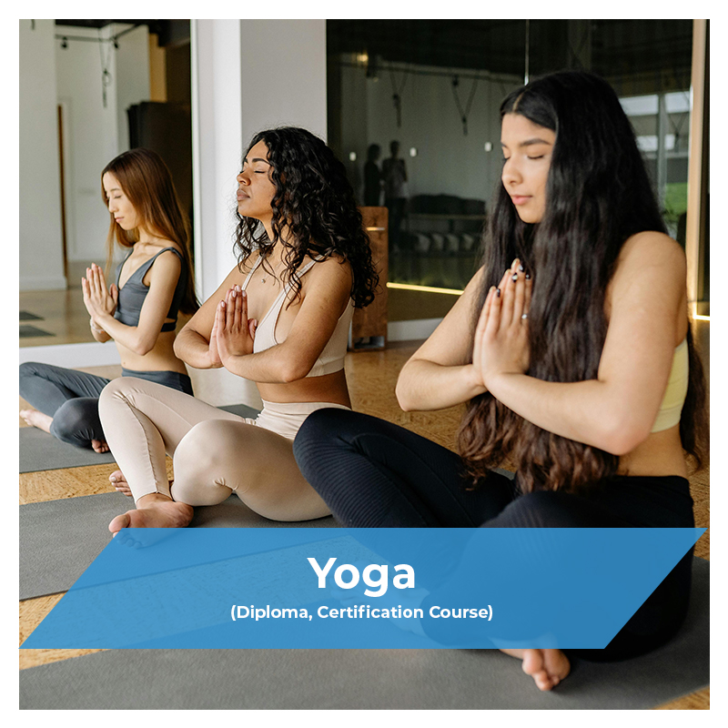 Courses offered at VCD