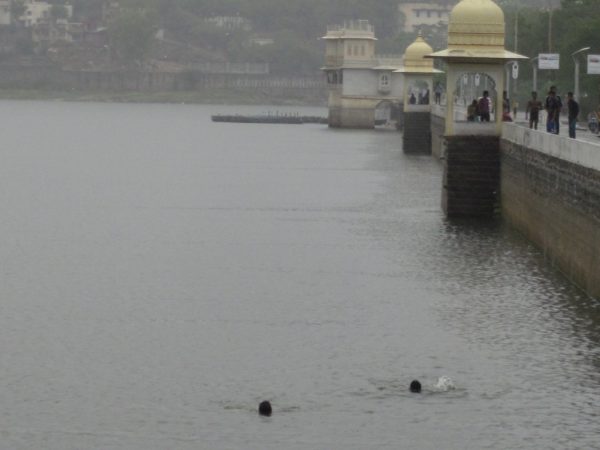 Monsoon Udaipur