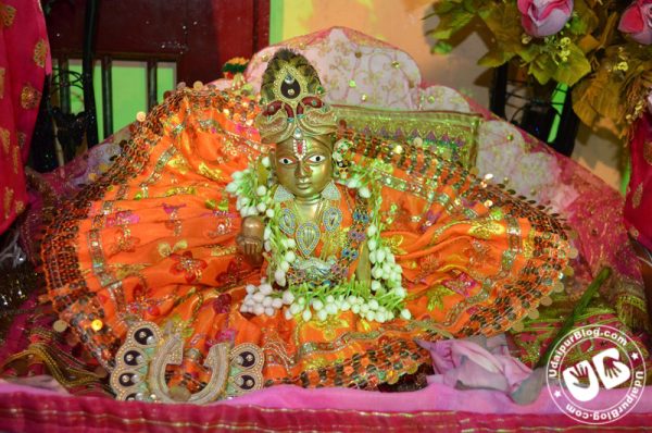 Pictures of Janmashtami Celebration at Jagdish Chowk