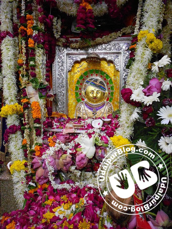 Udaipur Celebrated the birthday of Sagas Ji Bavji