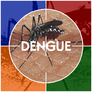 Having Fever..?? CAUTION – It Can be Dengue!