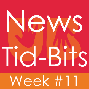 Udaipur News Tid Bits – Week #11