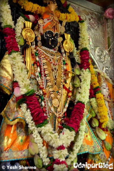 Jagganath Rath Yatra , Udaipur, 2013