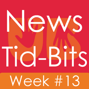 Udaipur News Tid Bits – Week  #13