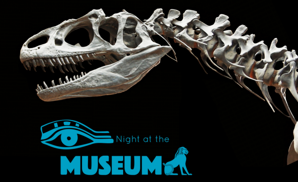 Night at the Museum