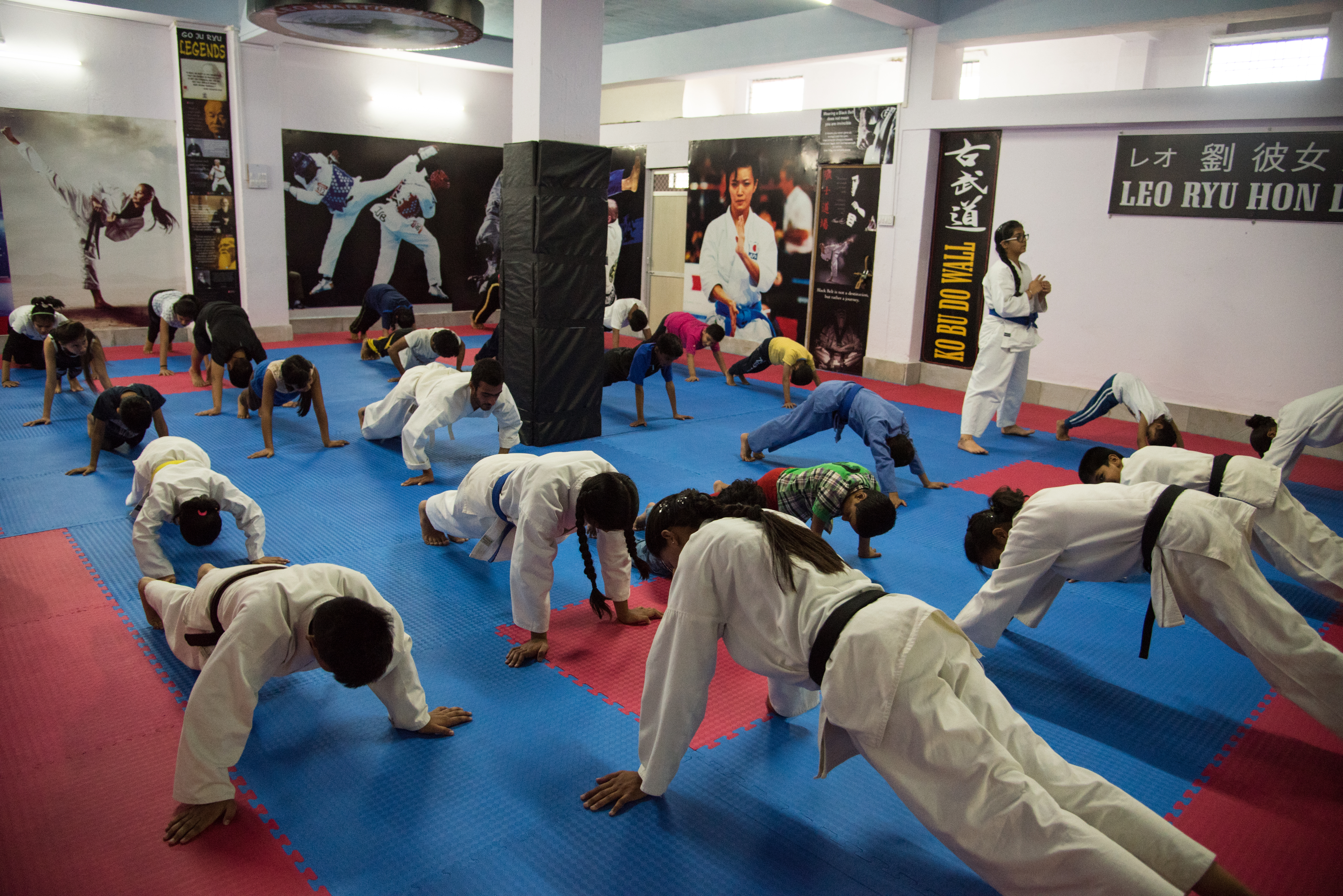 Leo Martial Arts Academy