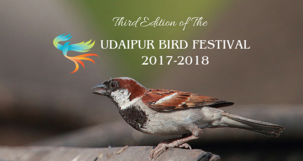 Must Read: The Third Edition of the Udaipur Bird Festival 2017