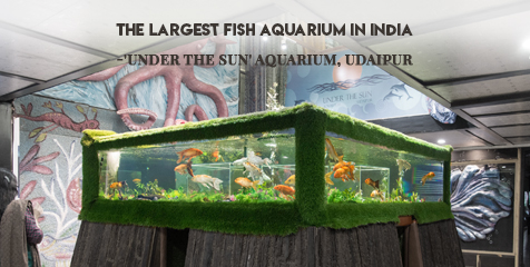 The Largest Fish Aquarium in India- ‘Under The Sun’ Aquarium, Udaipur