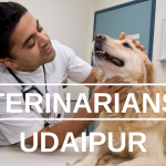 Veterinarians in Udaipur