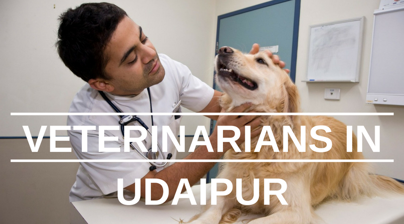Veterinarians in Udaipur