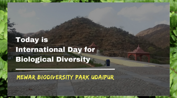 Today is International Day for Biological Diversity | Know about Mewar Biodiversity Park Udaipur