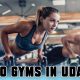 Top 10 Gyms in Udaipur