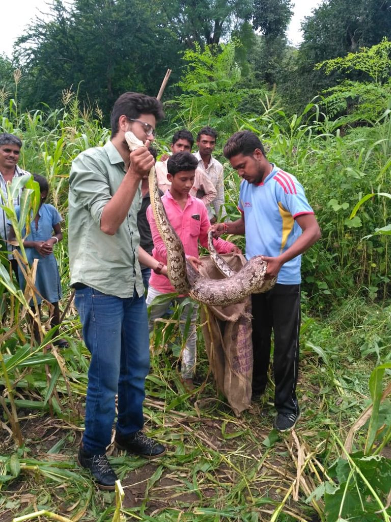 Snake Catcher in Udaipur Padam Singh Rathore UdaipurBlog