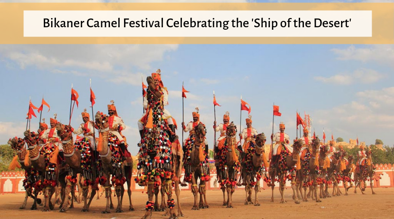 Bikaner Camel Festival Celebrating the ‘Ship of the Desert’