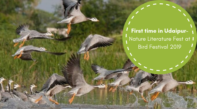 First time in Udaipur- Nature Literature Fest at Bird Festival 2019