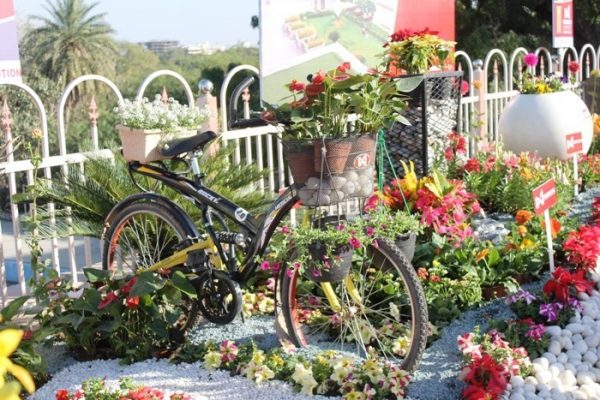 fatehsagar flower show