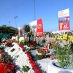 Flower Show Udaipur