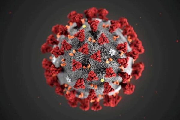 Coronavirus Transmission