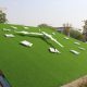 1000 sq. ft. Floral Clock at Maharana Pratap Airport