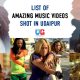 list of amazing music videos shot in udaipur