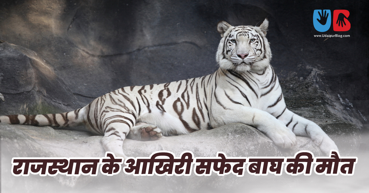 राजस्थान के आखिरी सफ़ेद बाघ की मौत